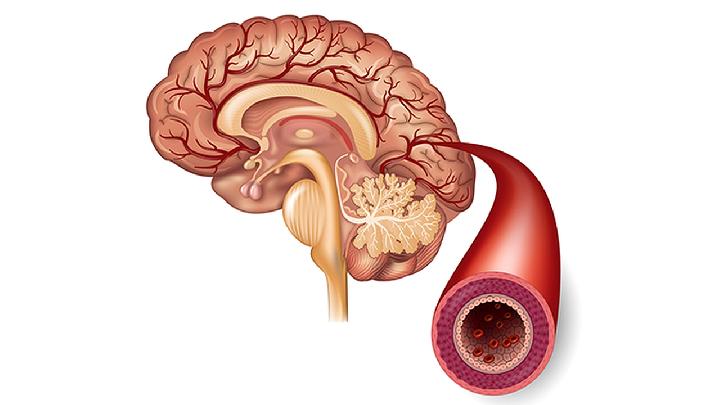 摄生调度的办法：从入门到进阶，打造健康日子